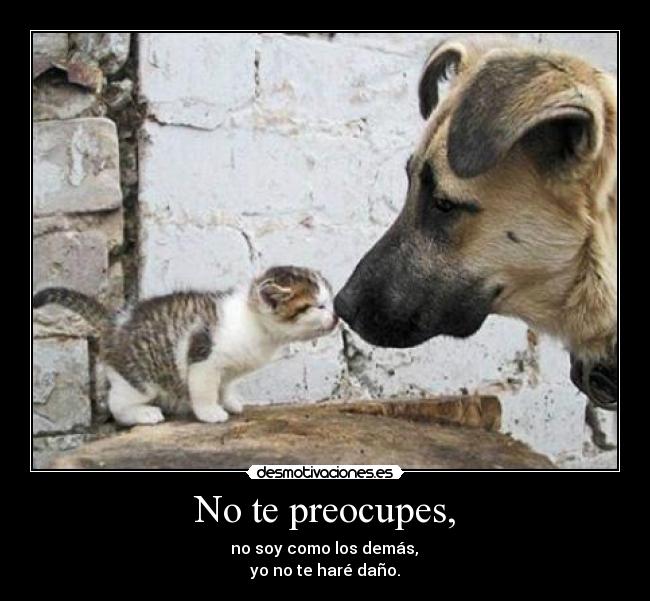 No te preocupes, - no soy como los demás,
yo no te haré daño.