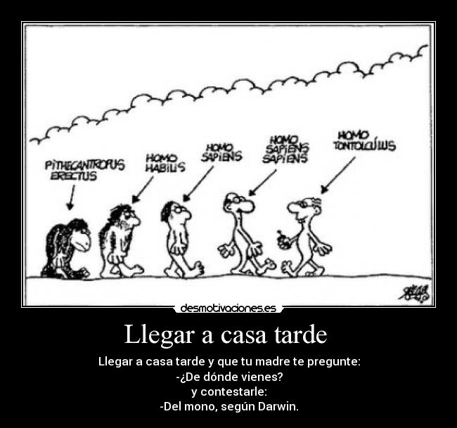 Llegar a casa tarde  - Llegar a casa tarde y que tu madre te pregunte:
-¿De dónde vienes?
y contestarle:
-Del mono, según Darwin.