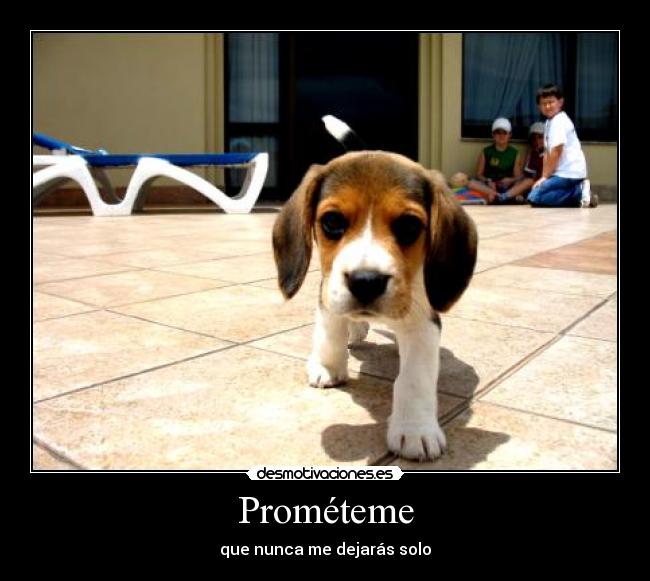 Prométeme - que nunca me dejarás solo