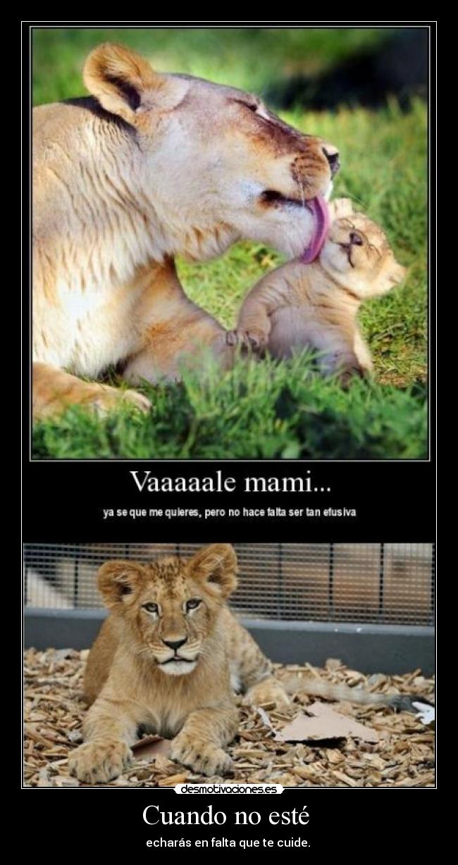 Cuando no esté  - echarás en falta que te cuide. 