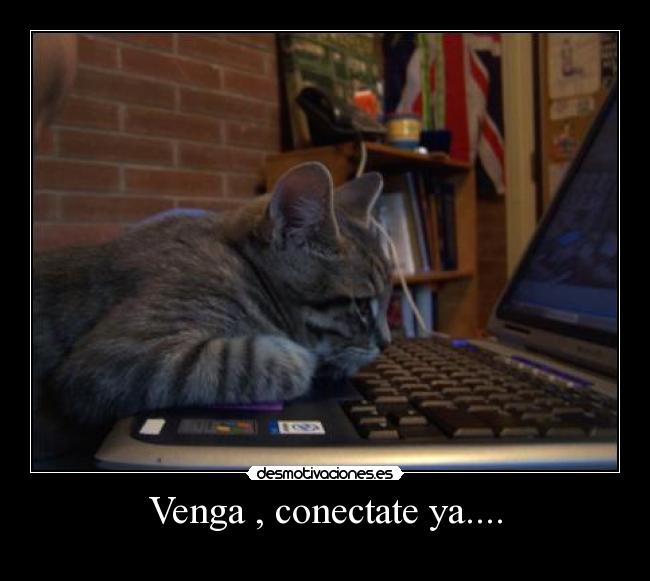 Venga , conectate ya.... - 