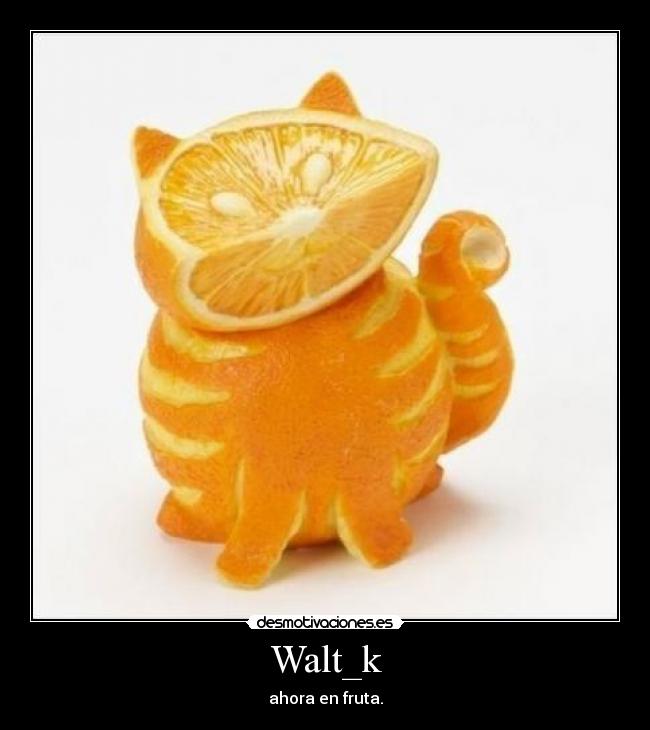 carteles pisano desmotivaciones