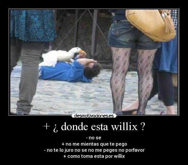 + ¿ donde esta willix ? - 