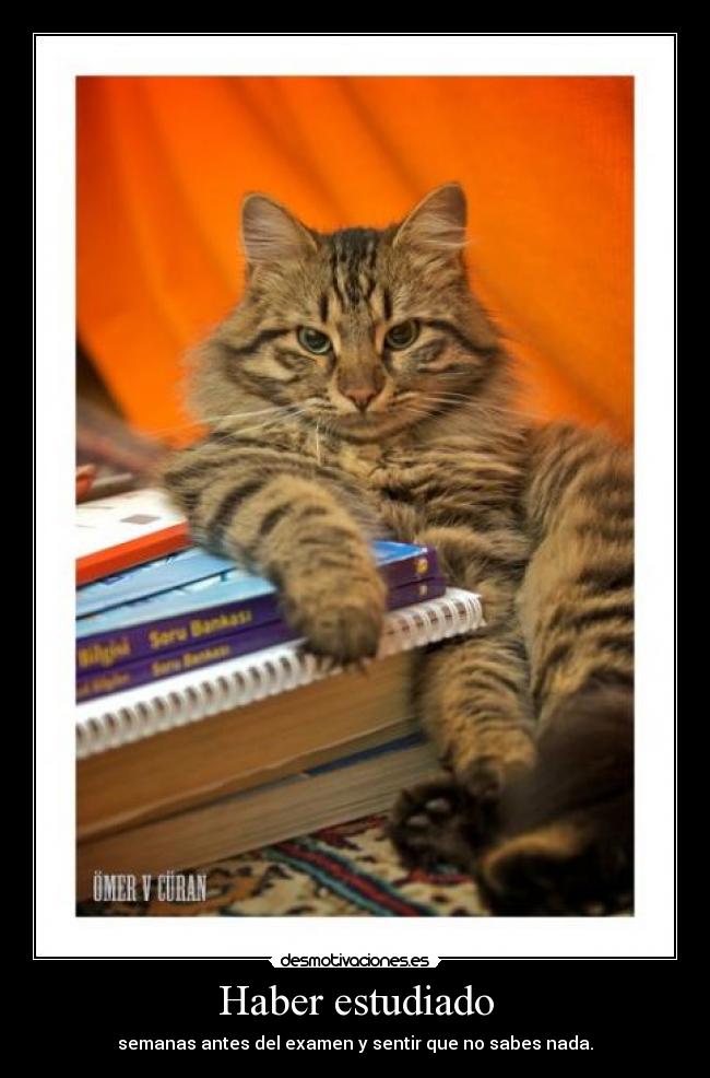 Haber estudiado -