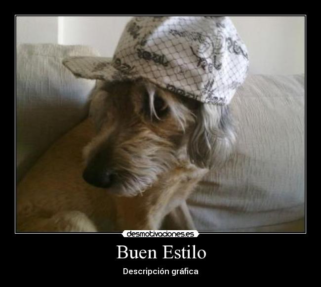 Buen Estilo - 