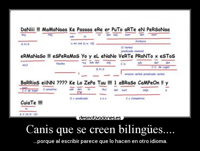 Canis que se creen bilingües.... - ...porque al escribir parece que lo hacen en otro idioma.