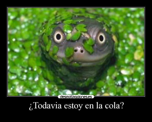 carteles desmotivaciones