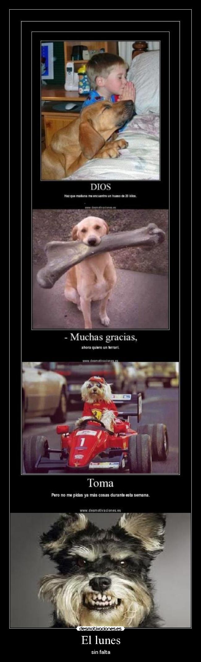 El lunes - sin falta