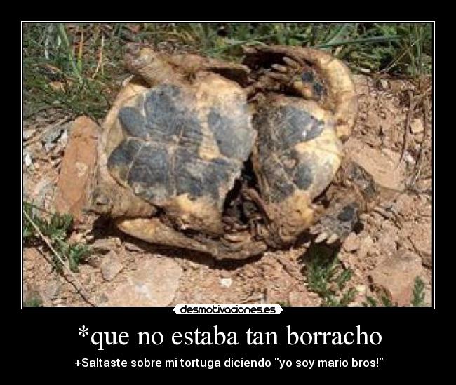 *que no estaba tan borracho - 