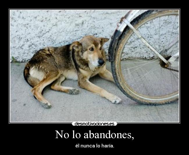 No lo abandones, - él nunca lo haría.