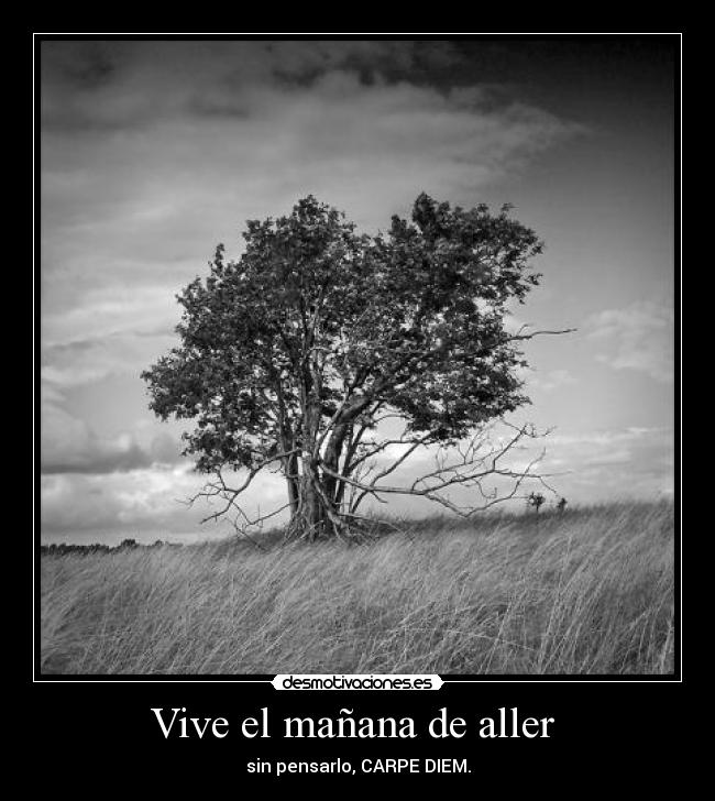 Vive el mañana de aller -