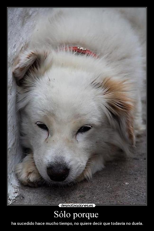 carteles dolor sufrrir desmotivaciones