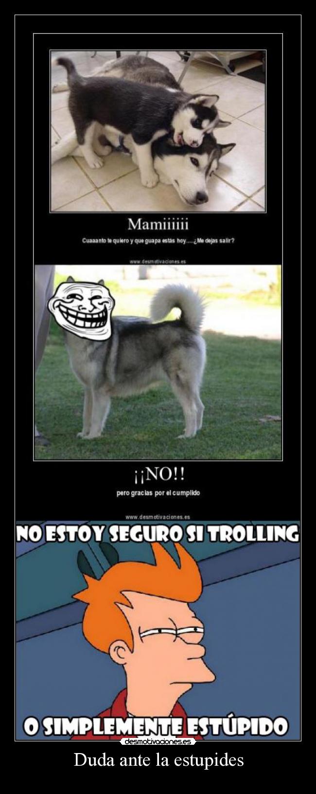 Duda ante la estupides - 