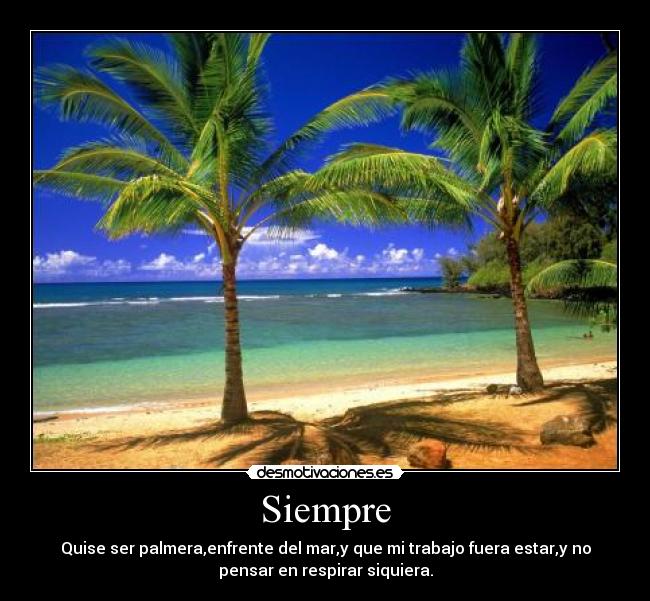 Siempre - Quise ser palmera,enfrente del mar,y que mi trabajo fuera estar,y no
pensar en respirar siquiera.