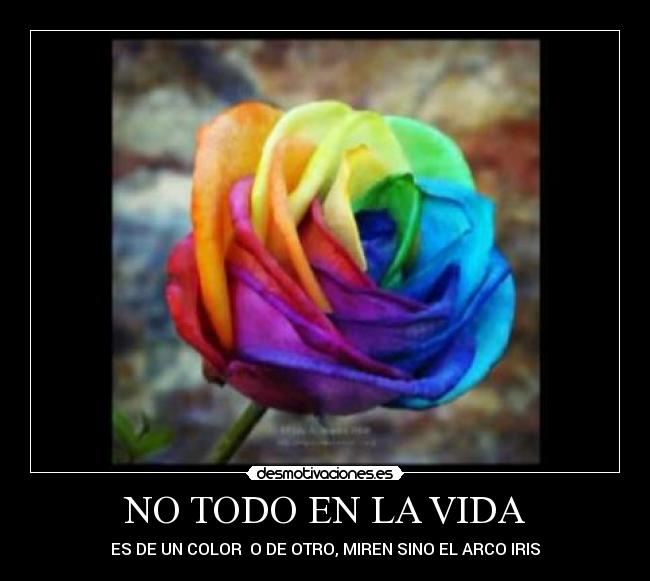 NO TODO EN LA VIDA - ES DE UN COLOR O DE OTRO, MIREN SINO EL ARCO IRIS