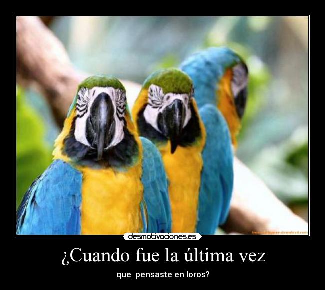¿Cuando fue la última vez -