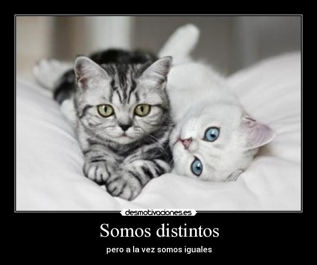 Somos distintos - 