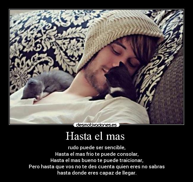 carteles hastafriorudosenciblelograrbuenoayudarapariencias desmotivaciones