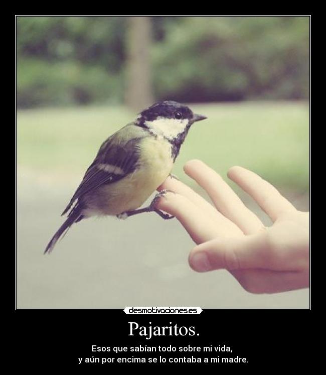 Pajaritos. - Esos que sabían todo sobre mi vida,
y aún por encima se lo contaba a mi madre.