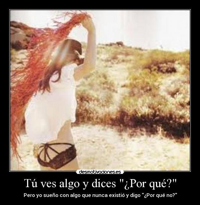 carteles tu ves algo dices por que pero yo sueno con que nunca existio digo desmotivaciones