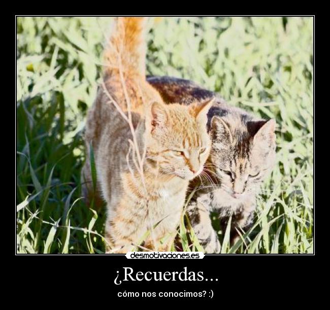¿Recuerdas... -