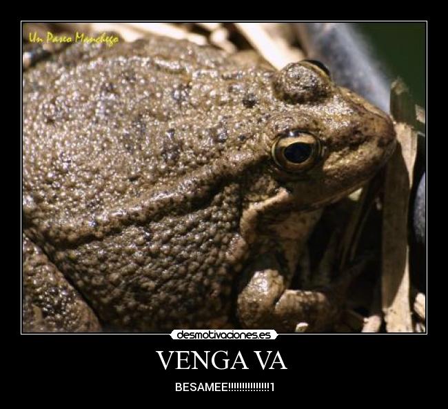 carteles desmotivaciones