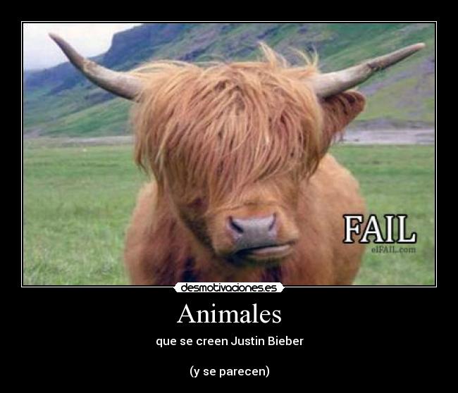 Animales -
