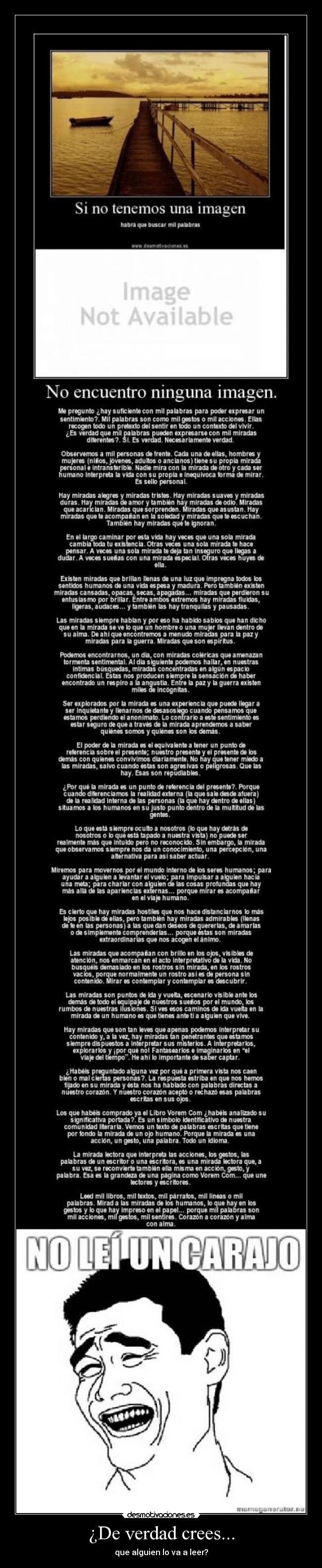 carteles lei carajo desmotivaciones