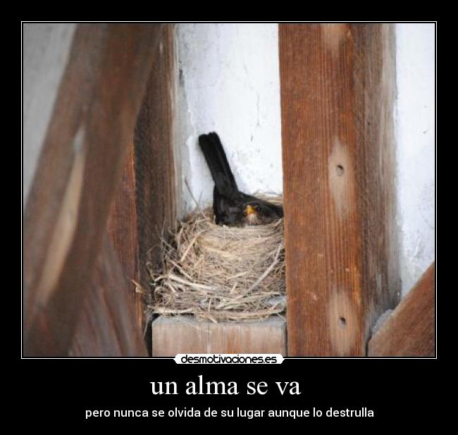 un alma se va  - pero nunca se olvida de su lugar aunque lo destrulla