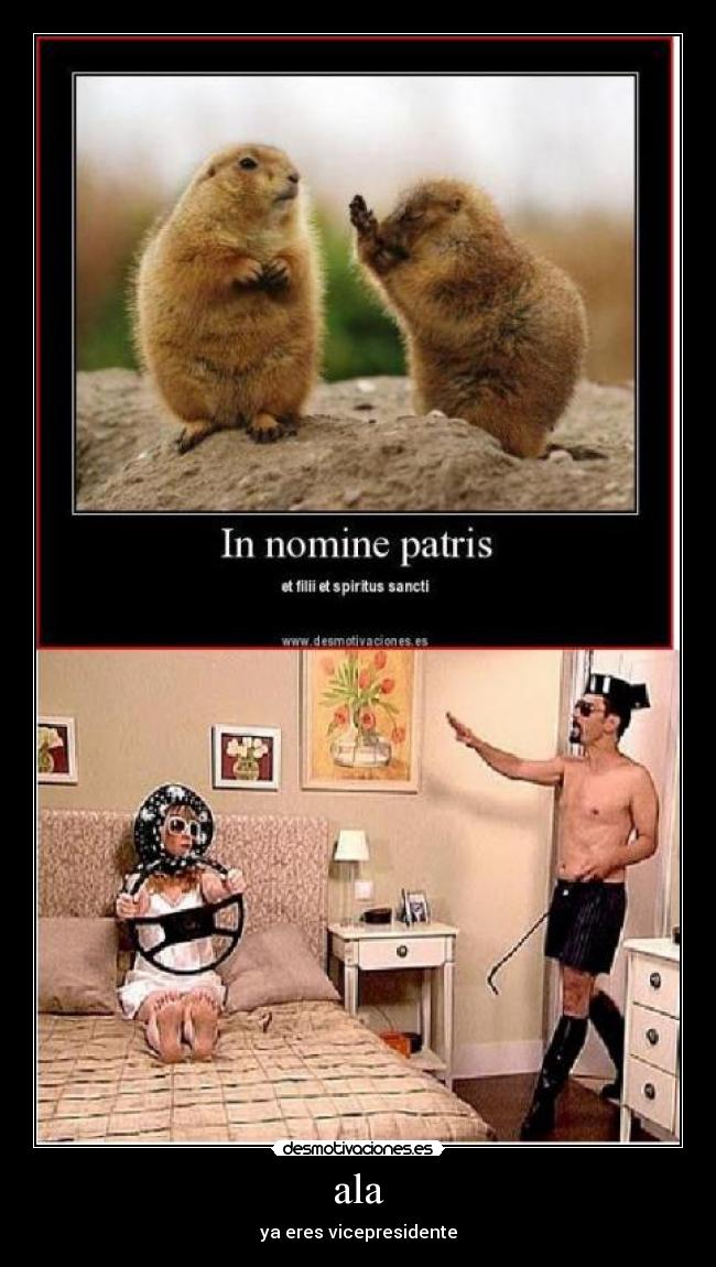 ala - ya eres vicepresidente