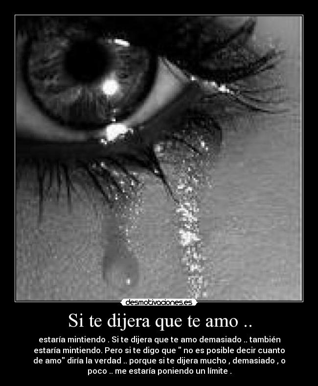 Si te dijera que te amo .. -
