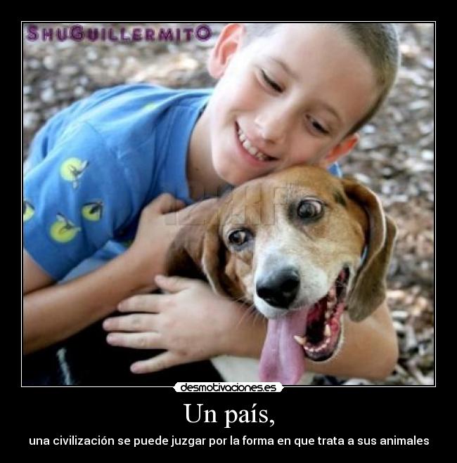 Un país, - una civilización se puede juzgar por la forma en que trata a sus animales