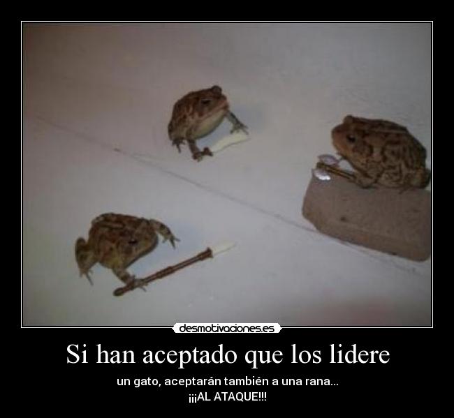 Si han aceptado que los lidere - un gato, aceptarán también a una rana...
¡¡¡AL ATAQUE!!!