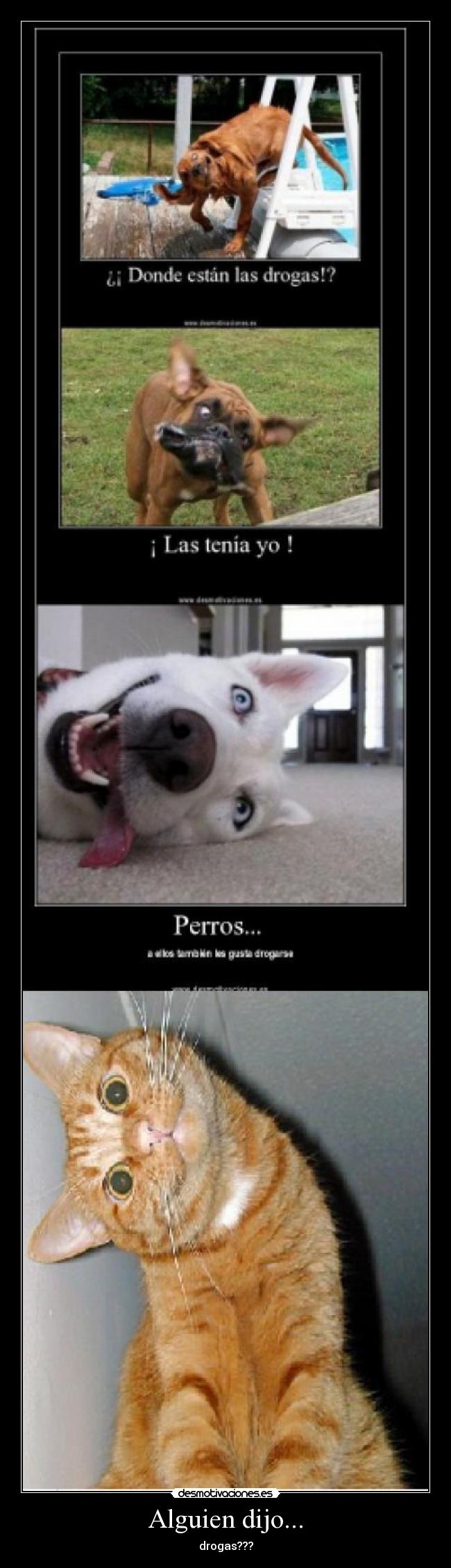 Alguien dijo... - drogas???