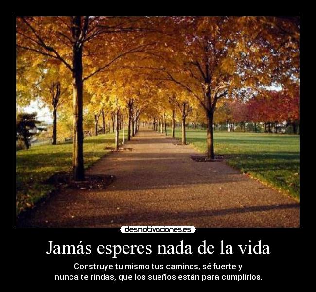 Jamás esperes nada de la vida - Construye tu mismo tus caminos, sé fuerte y
nunca te rindas, que los sueños están para cumplirlos.