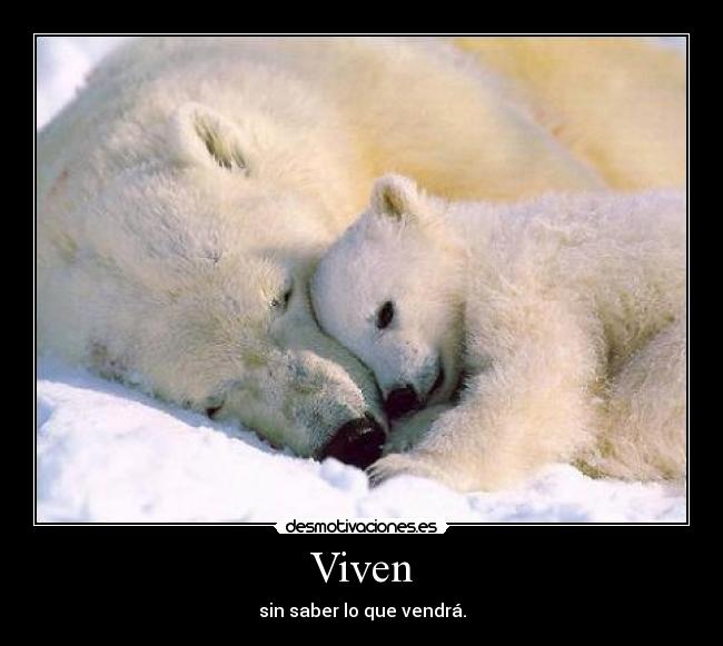 Viven - 