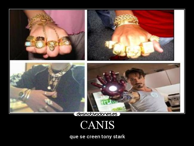 CANIS - que se creen tony stark