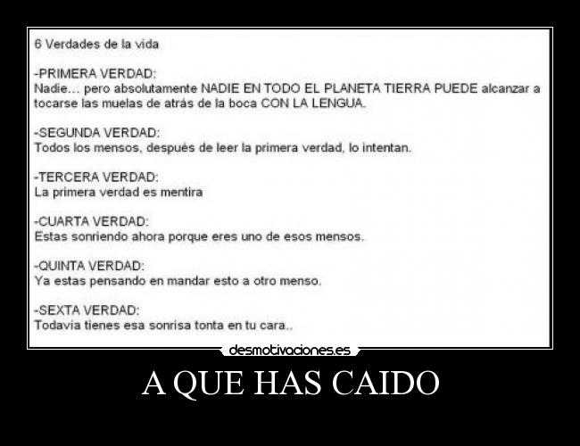 A QUE HAS CAIDO -