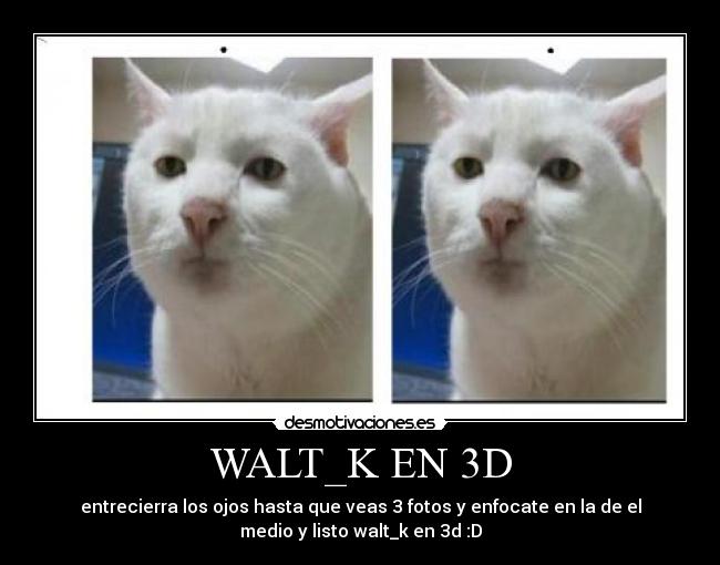 WALT_K EN 3D - entrecierra los ojos hasta que veas 3 fotos y enfocate en la de el
medio y listo walt_k en 3d :D