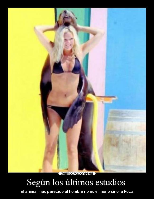 carteles zzz desmotivaciones