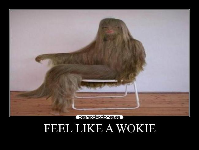 FEEL LIKE A WOKIE - 