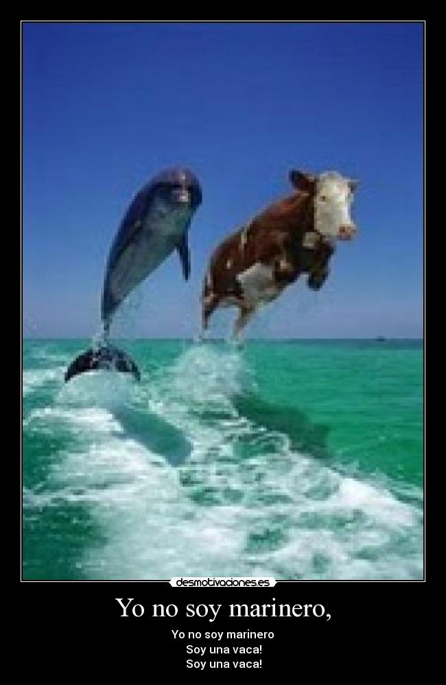 Yo no soy marinero, - Yo no soy marinero
Soy una vaca!
Soy una vaca!