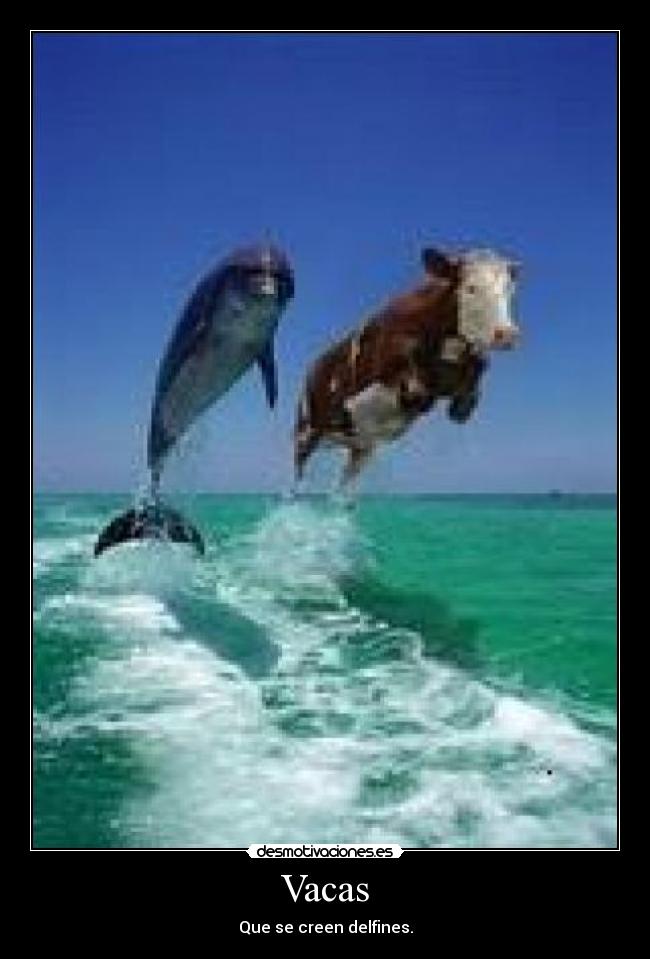 Vacas - Que se creen delfines.