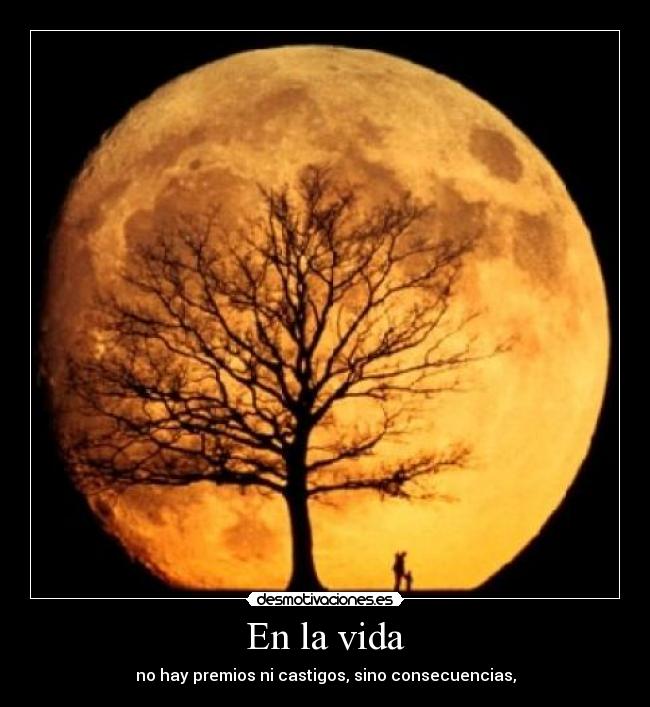 En la vida - no hay premios ni castigos, sino consecuencias,