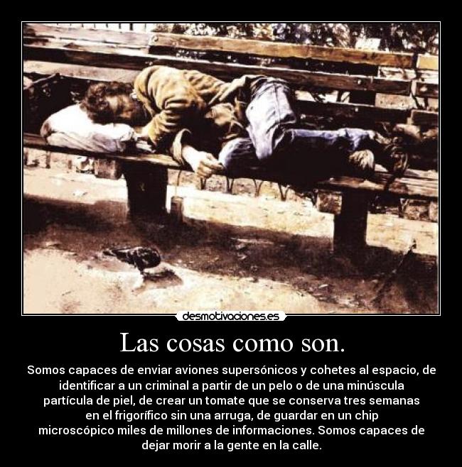 Las cosas como son. - Somos capaces de enviar aviones supersónicos y cohetes al espacio, de
identificar a un criminal a partir de un pelo o de una minúscula
partícula de piel, de crear un tomate que se conserva tres semanas
en el frigorífico sin una arruga, de guardar en un chip
microscópico miles de millones de informaciones. Somos capaces de
dejar morir a la gente en la calle.