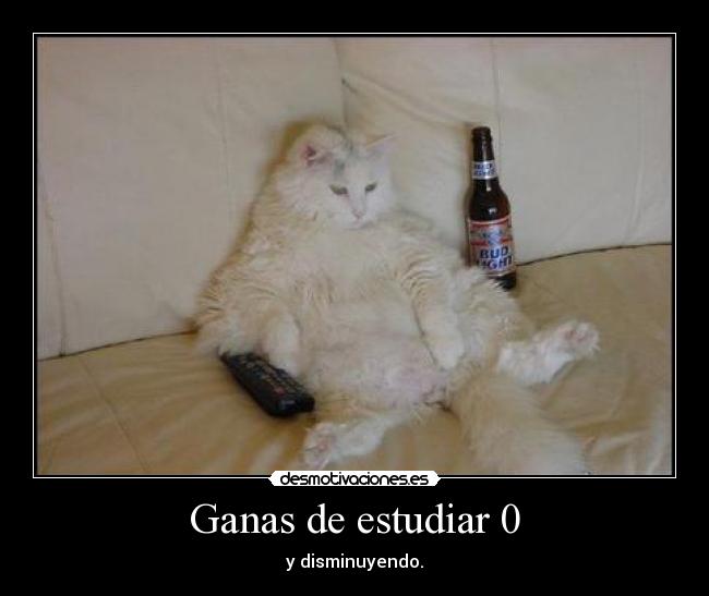 carteles ganas estudiar cero disminuyendo desmotivaciones