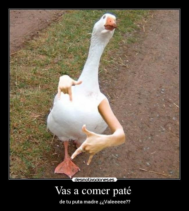 Vas a comer paté  - 