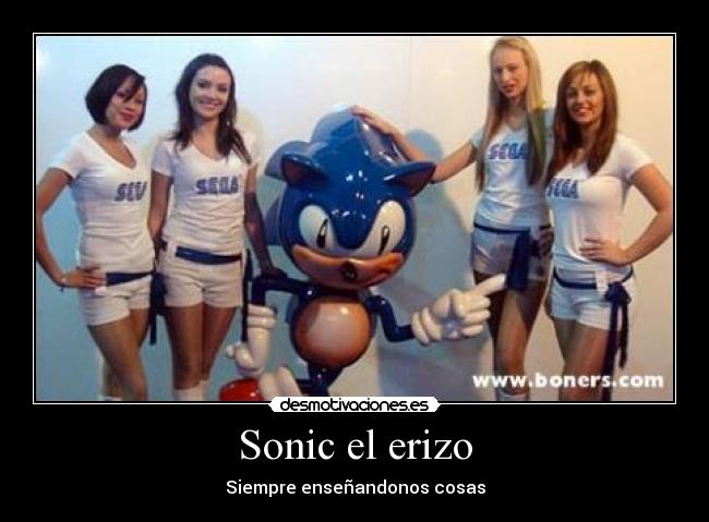 Sonic el erizo - 