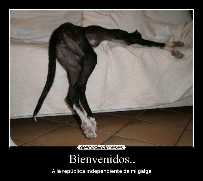 carteles culetegalgo desmotivaciones