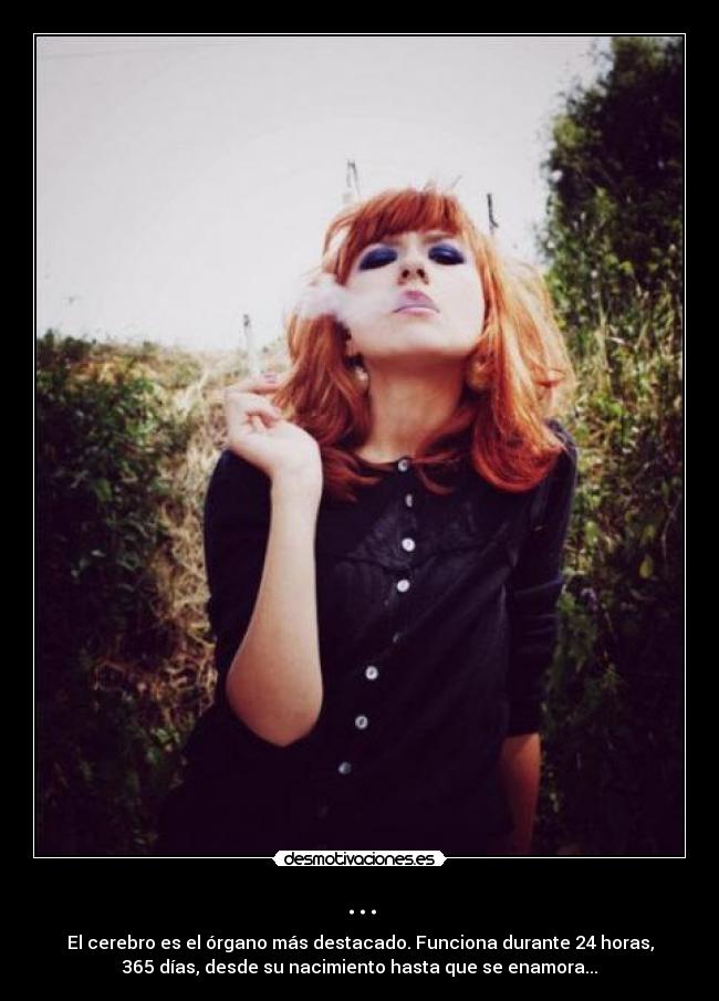 ... - El cerebro es el órgano más destacado. Funciona durante 24 horas,
365 días, desde su nacimiento hasta que se enamora...